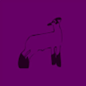 Meet your Posher, Mackenzie